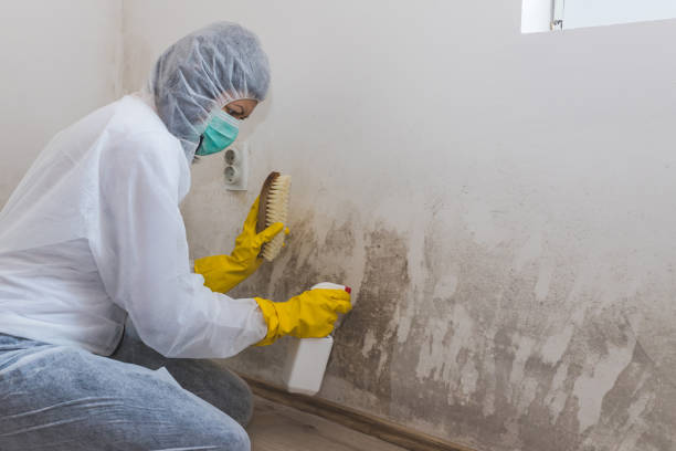 Best Mold Odor Removal Services  in Heath, OH