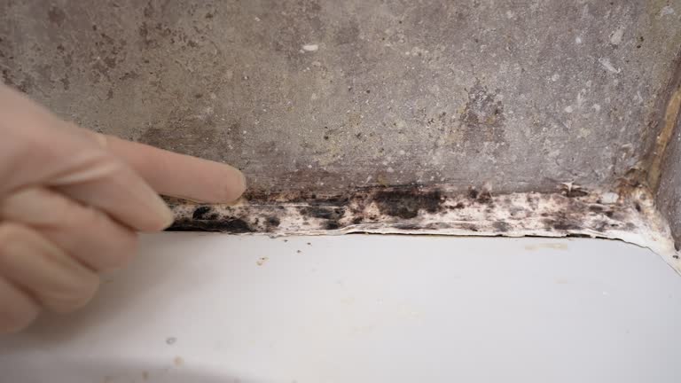 Asbestos and Lead Testing During Mold Inspection in Heath, OH